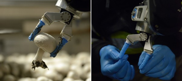 Mycionics robotic hand picking a mushroom