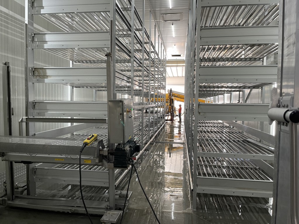 Empty mushroom growing room with steel growing stacks