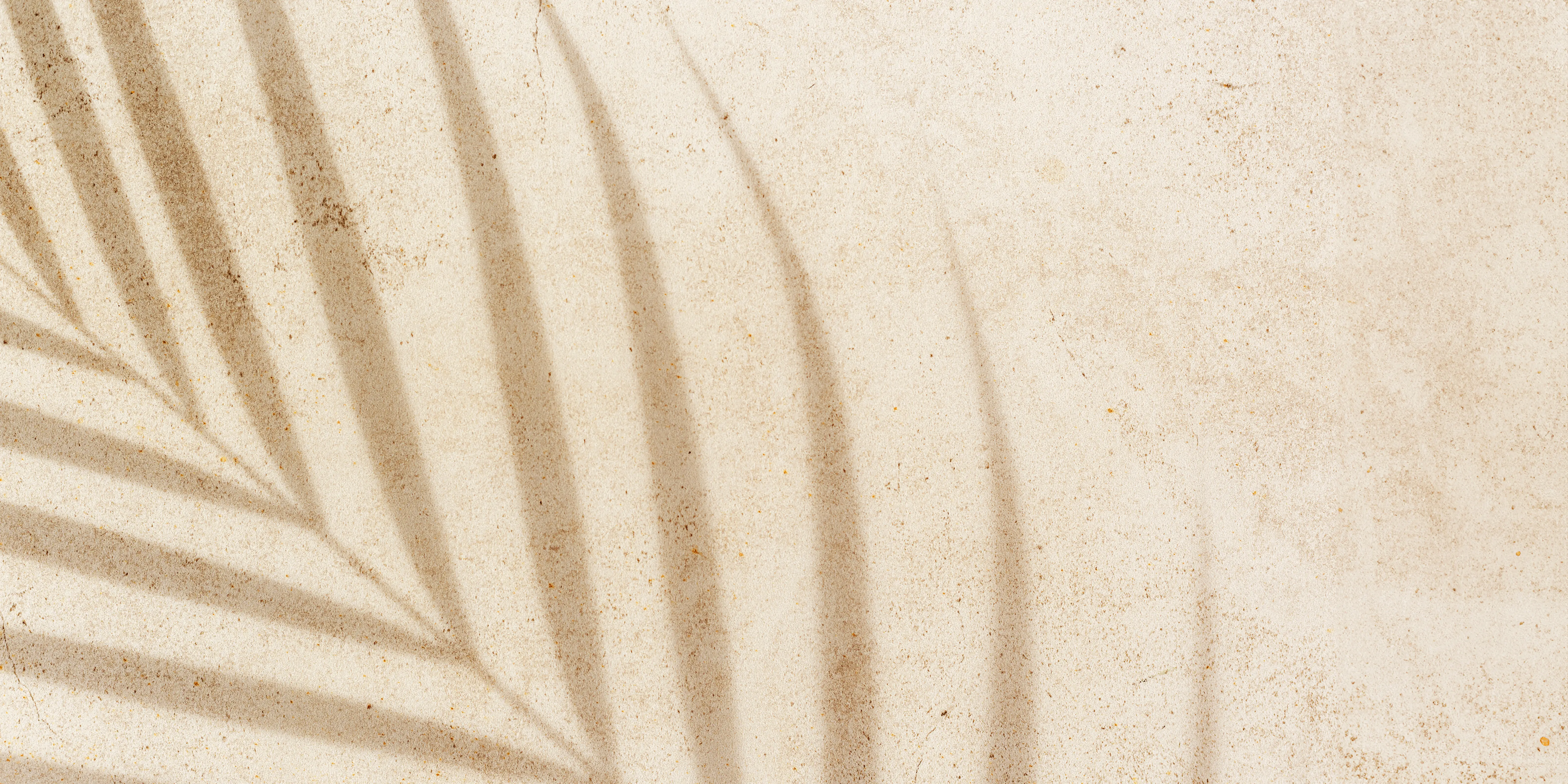 beige shadow of palm leaf