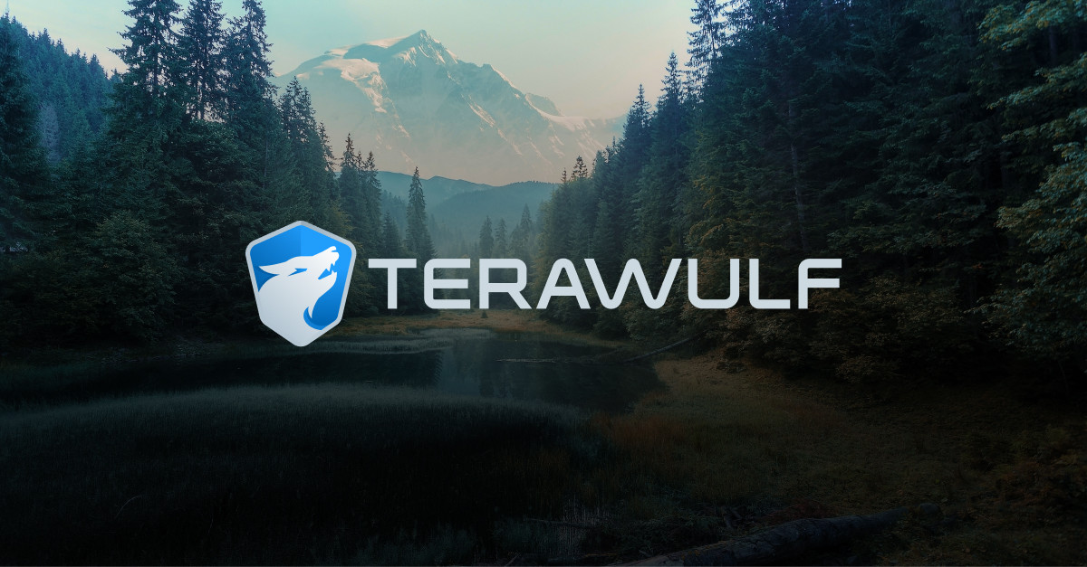 Meet TeraWulf: Exclusive interview with CFO Patrick Fleury