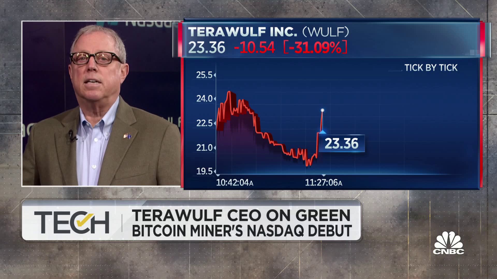 TeraWulf will mine bitcoin 'responsibly,' will be among winners in space, says CEO