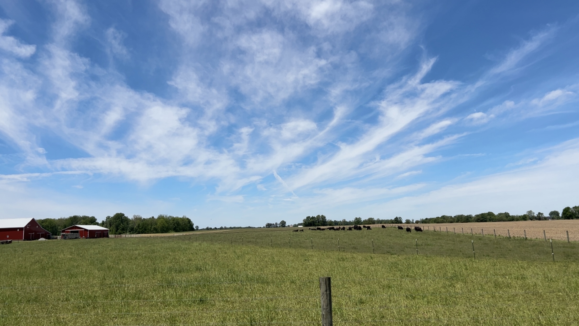 image of pharmacy community engagement activities