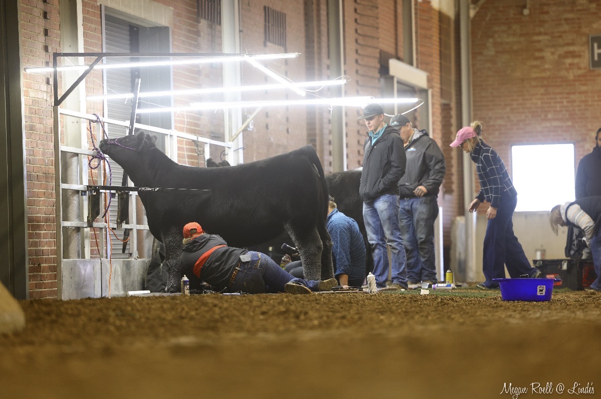 image of technicians inspecting crops
