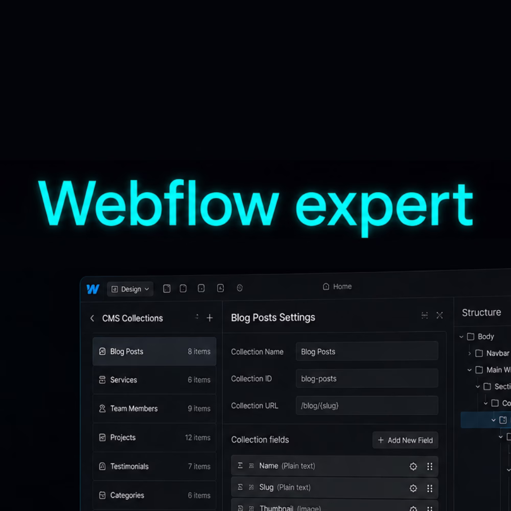 Webflow expert structuring a CMS collection in the Webflow Designer