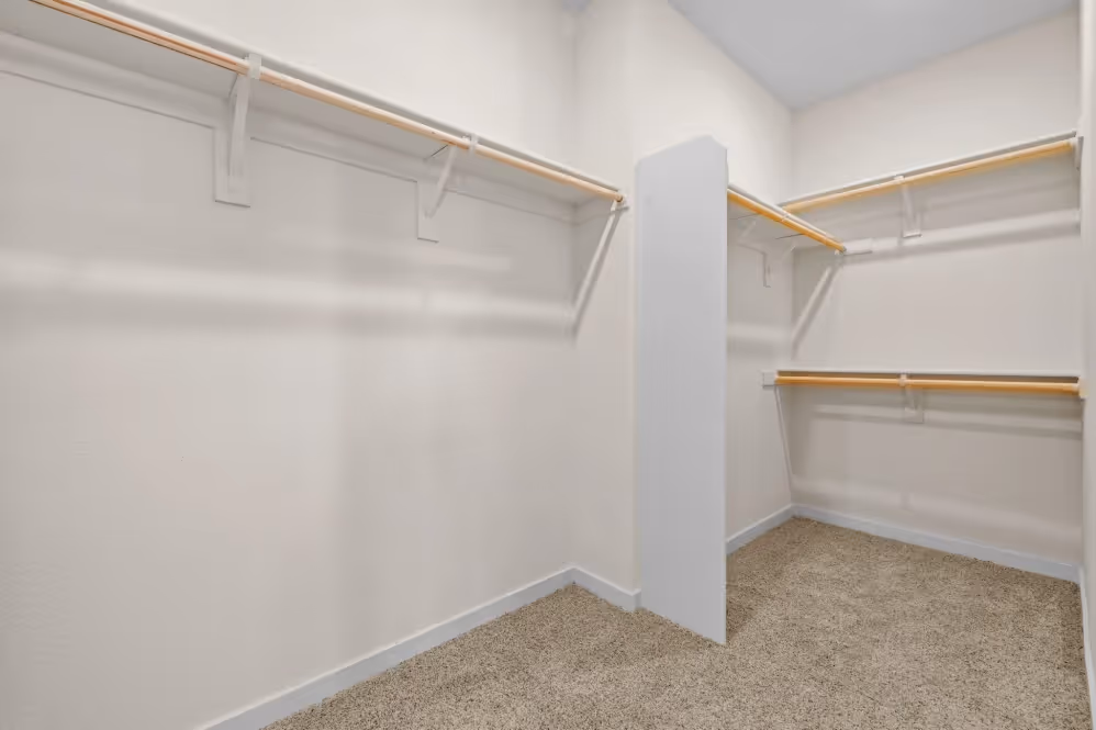 Closet with shelving