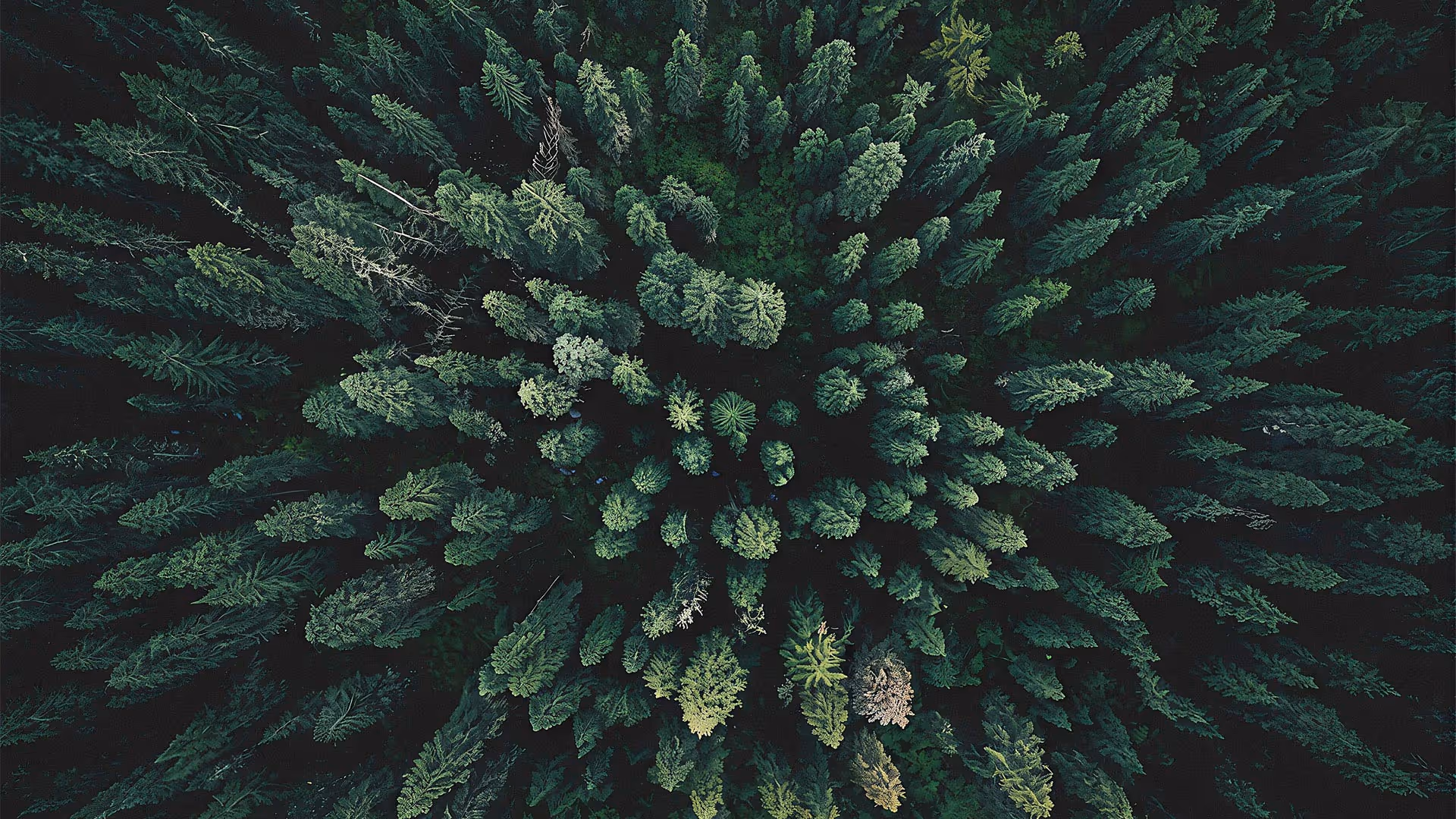 COOLBLOCK | IMMERSION COOLING