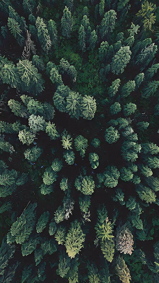 COOLBLOCK | IMMERSION COOLING