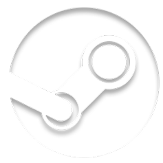 Steam
