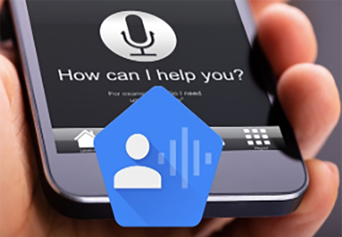 Voice Access