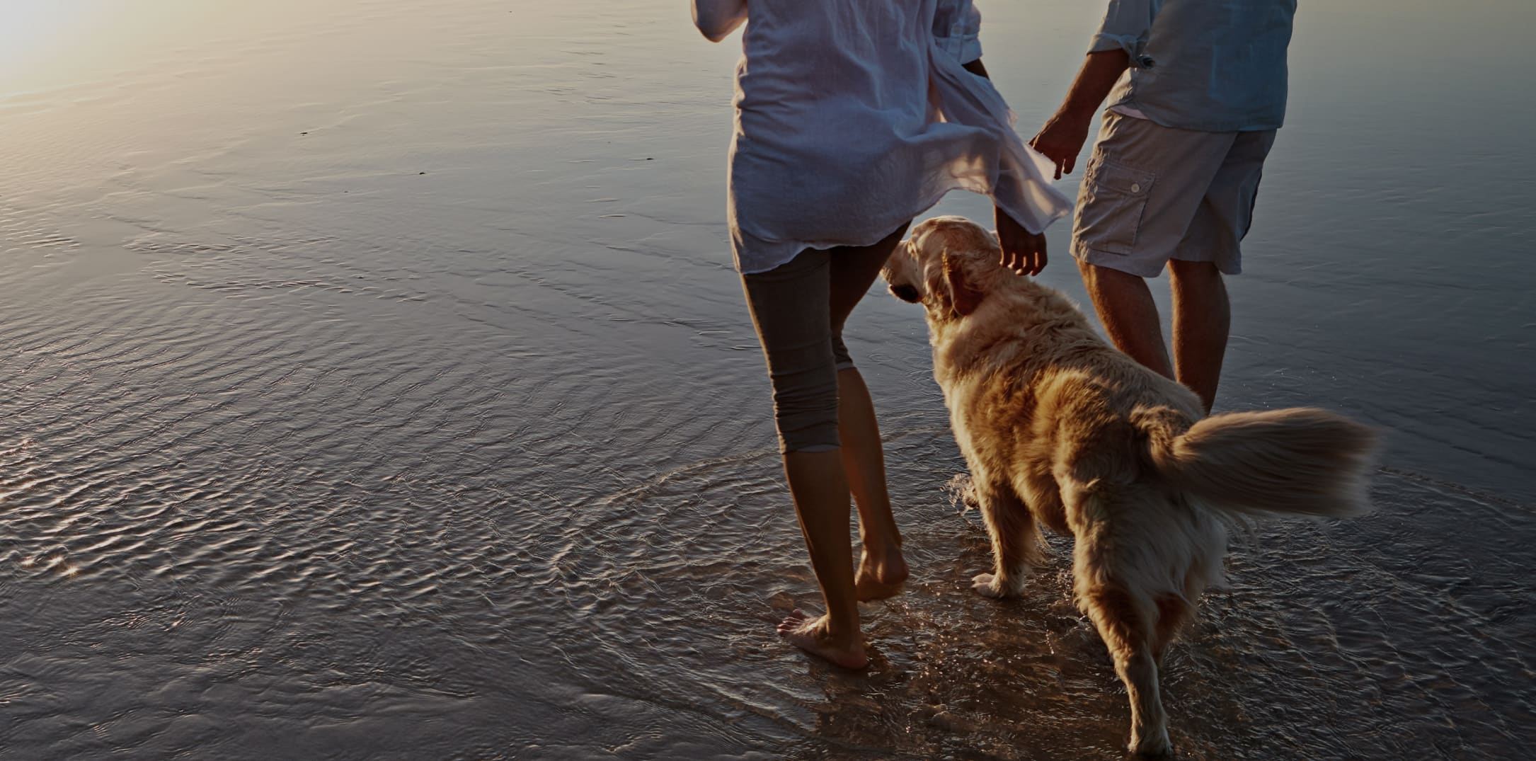 Why Early Treatment of Varicose Veins is Essential