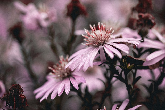 Coping with Major Life Stressors