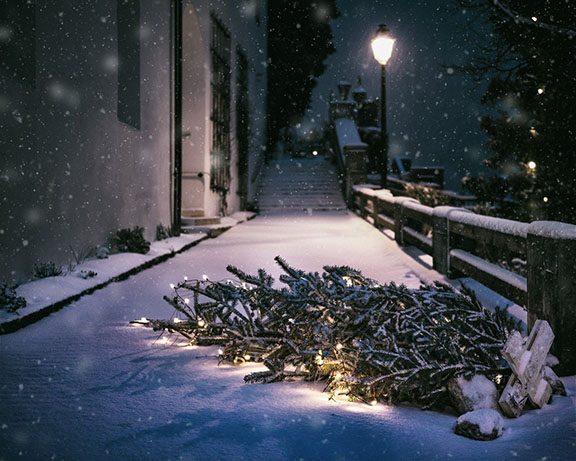 Coping with Grief This Holiday