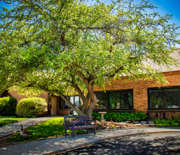 Green leafy tree shading a wooden bench near a brick building with large windows in a sunny garden.