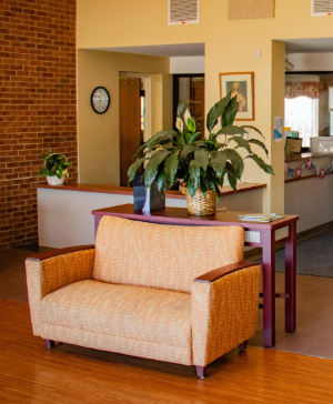 Orange patterned loveseat in a lobby with a purple table and potted plants behind it.