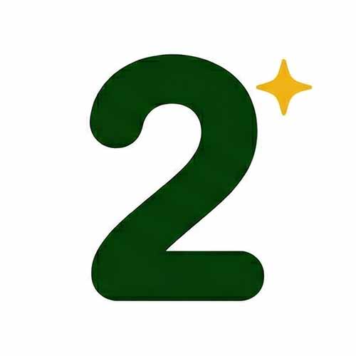 Dark green number 2 with a small yellow sparkle to the upper right on a white background.