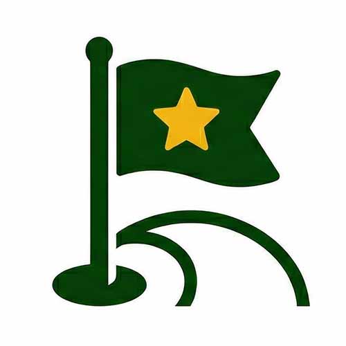 Green flag with a yellow star on a pole standing on a curved surface or hill.