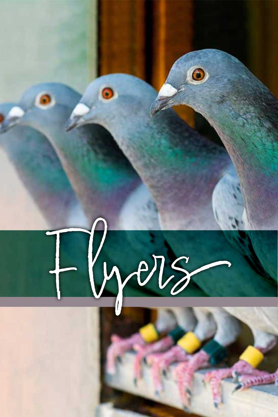Flyers