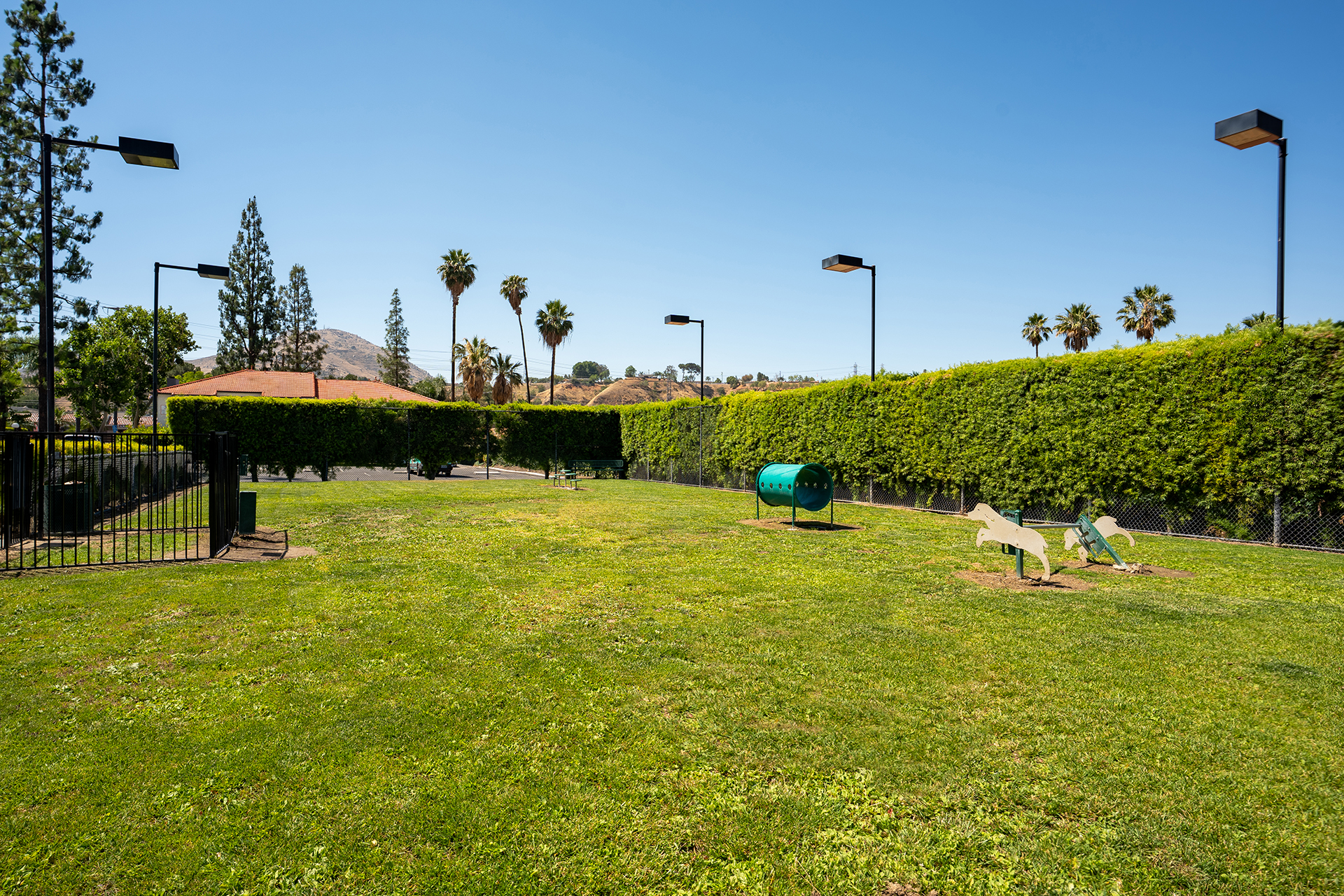 Outdoor dog park with grassy area