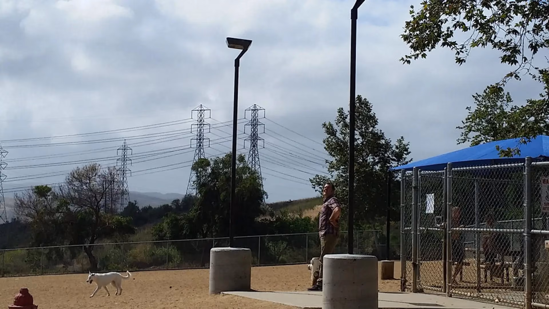 FLT solar area lights illuminating dog park at dusk