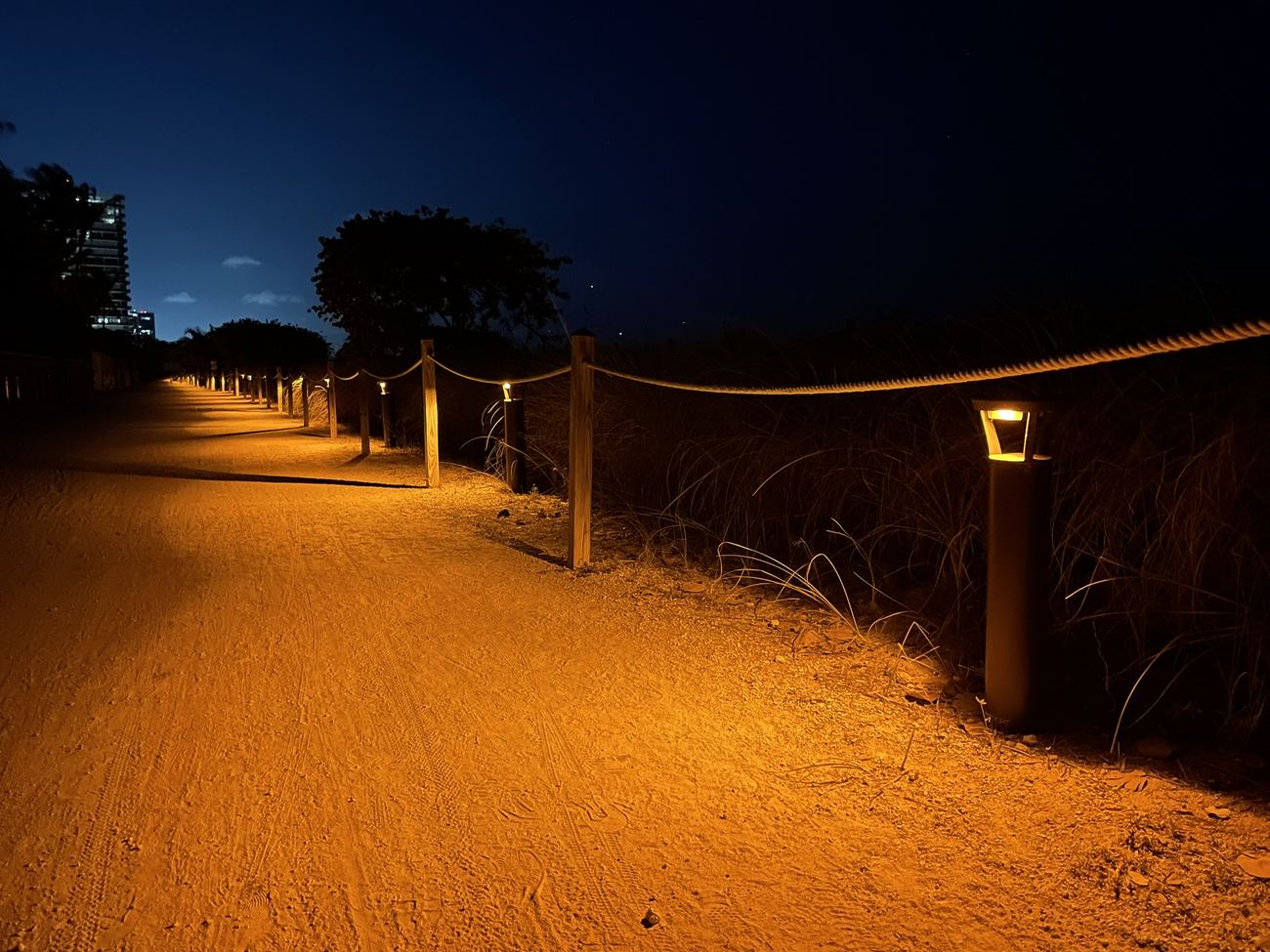 Path lit at night by low bollard-style solar fixtures