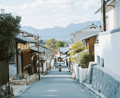 License Single Image