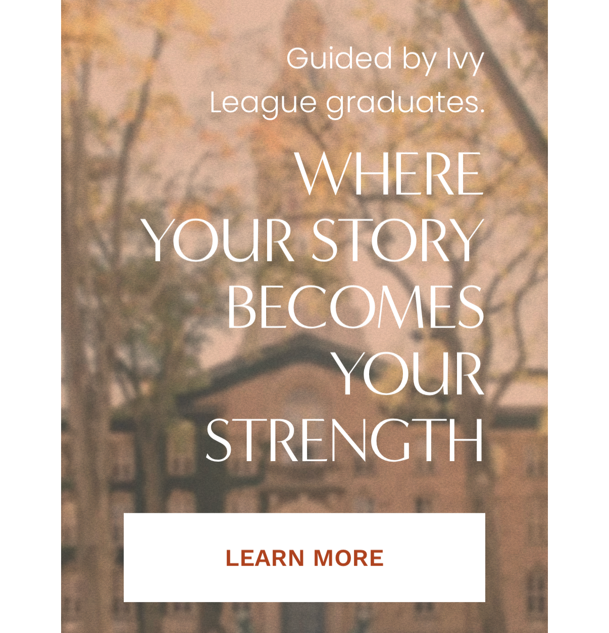 Website for olive tree college apps a college counseling business