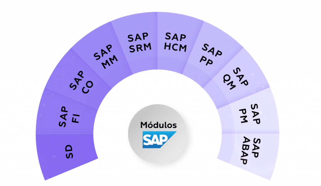 Todos os módulos SAP  SAP SD SAP FI SAP CO SAP MM SAP SRM SAP HCM SAP PP SAP QM SAP PM SAP ABAP
