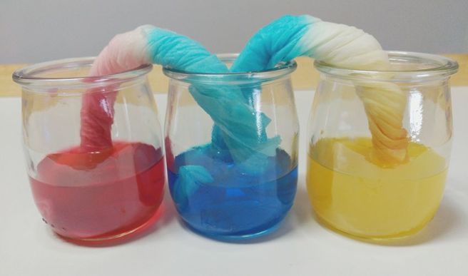 proyectos de ciencias