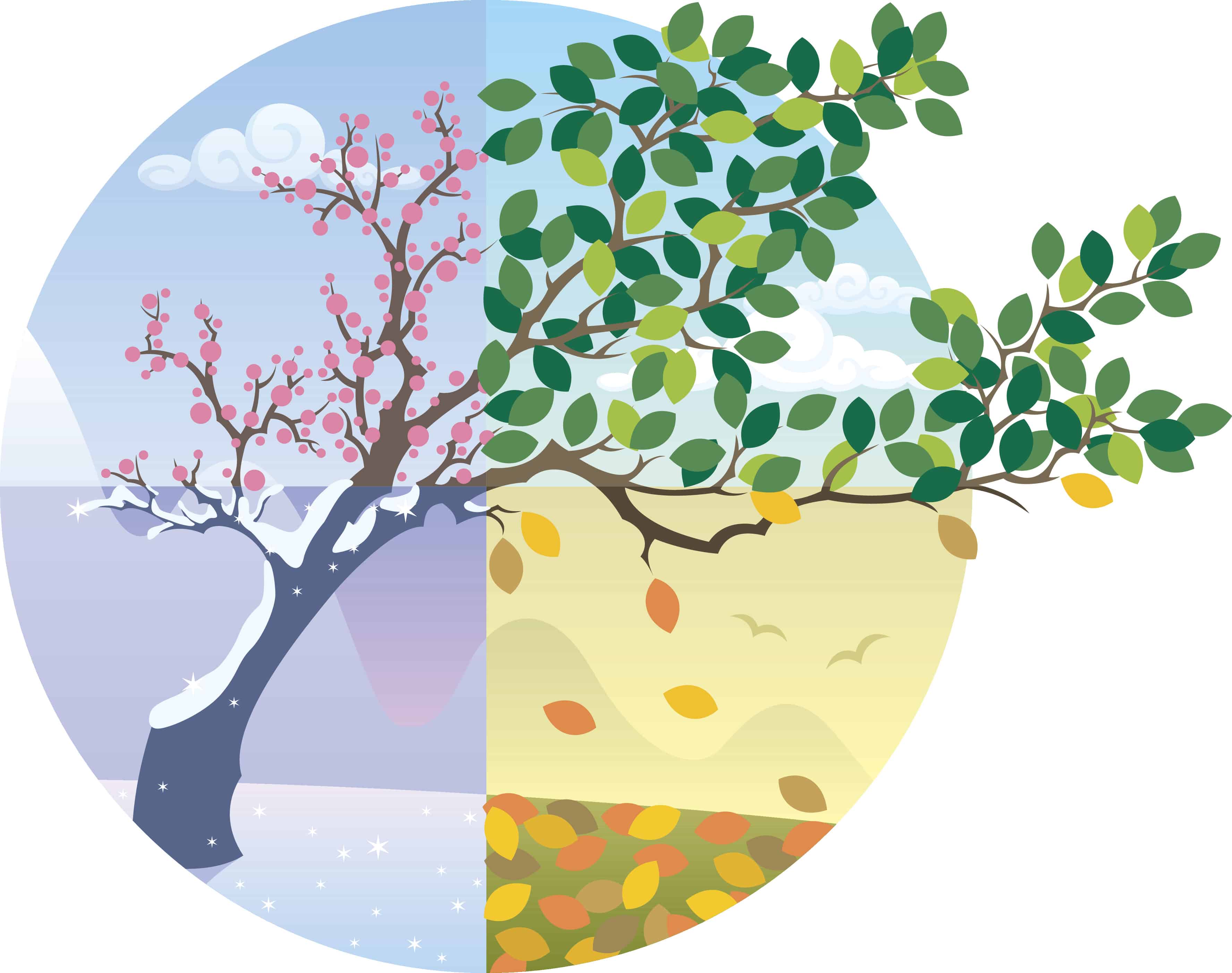 estaciones del año para niños