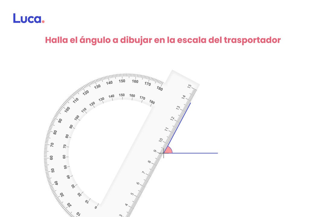 uso del transportador