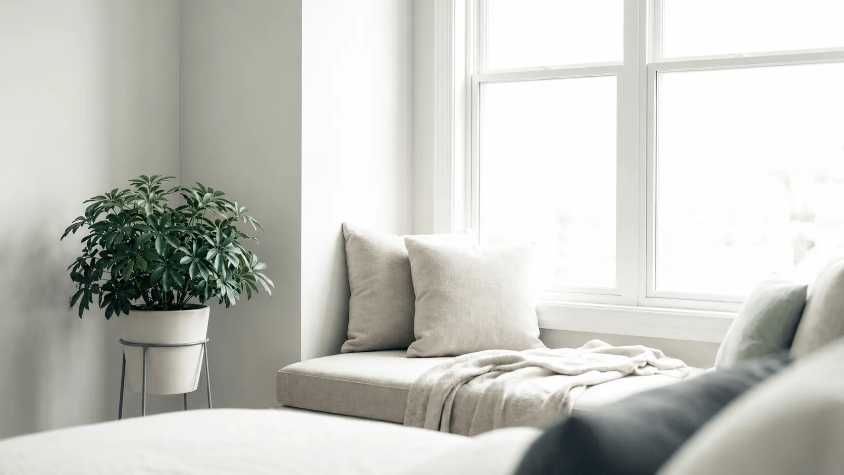Bright cozy corner with a cushioned bench, two pillows, a knitted throw, and a potted green plant.