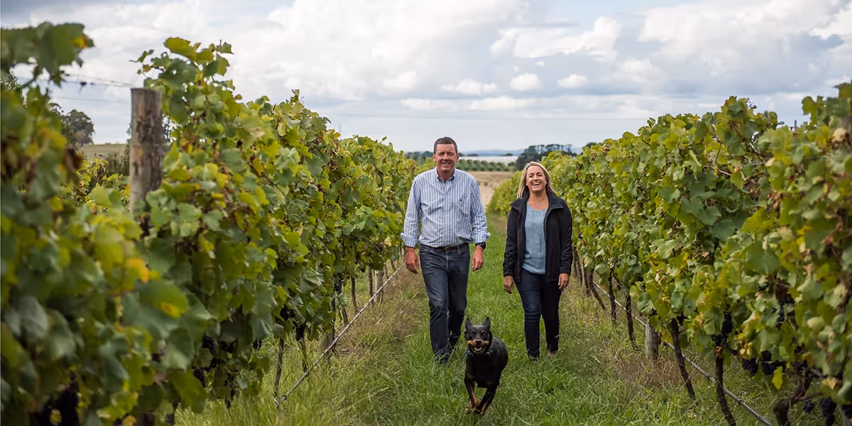 Ross Hill Wines