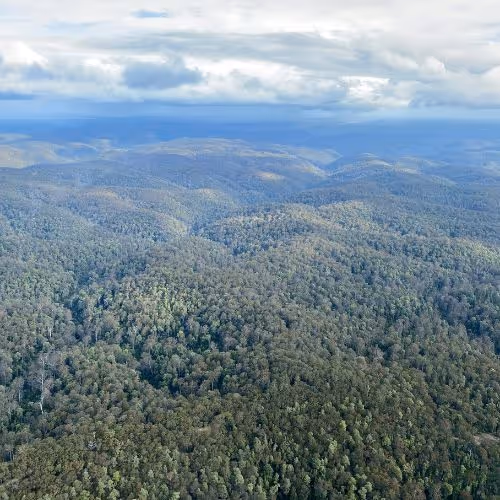 Aerial view of the Hunter Valley landscape