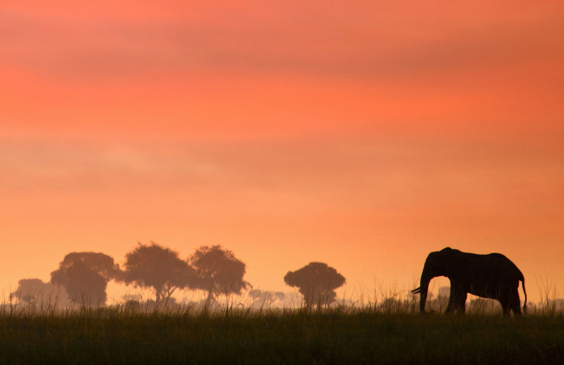 The Elephant in the Room: Why Climate Disclosures Need Dollar Signs