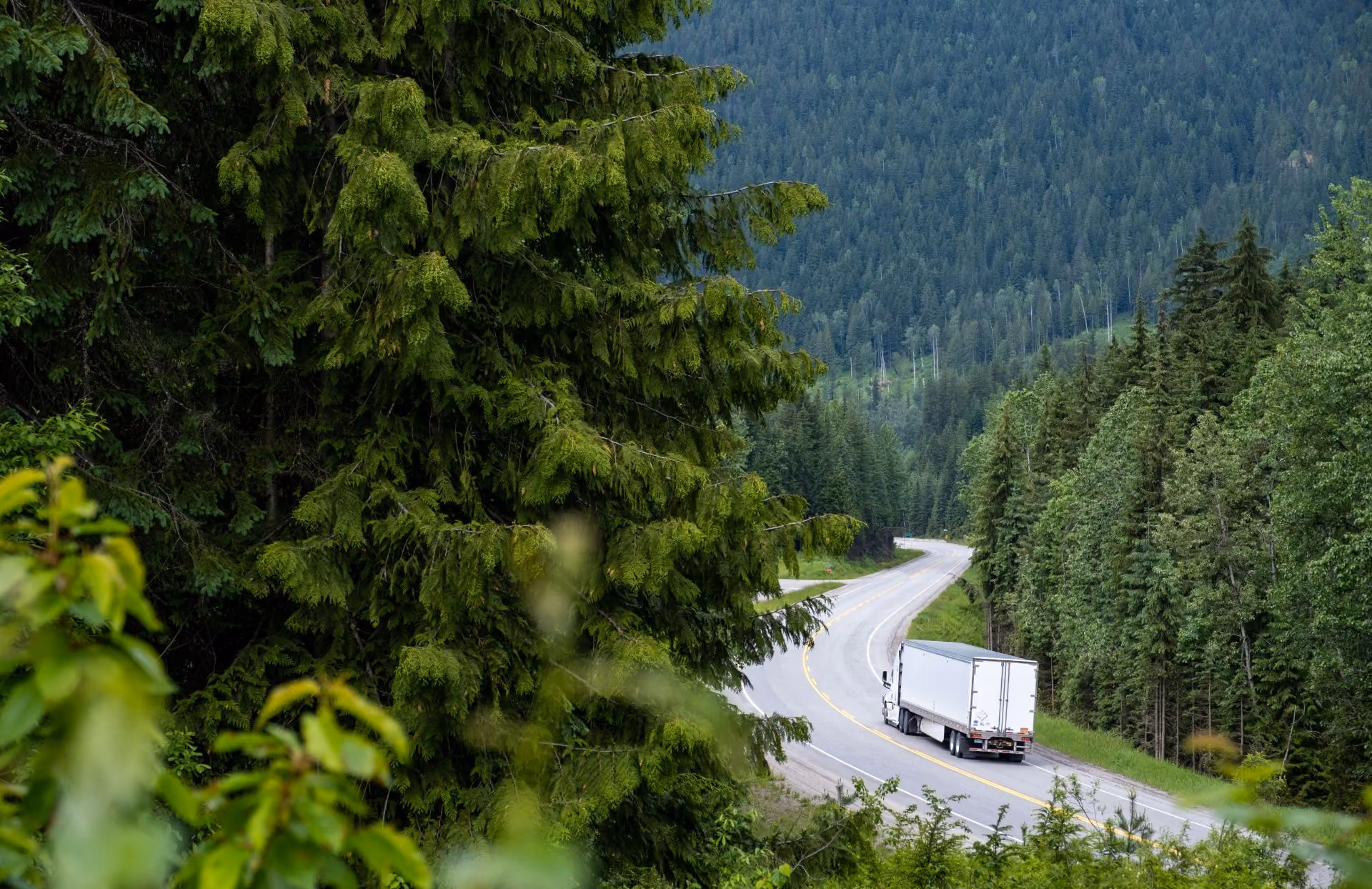 A truck driving along a road, surrounded by trees and natural vegetation.