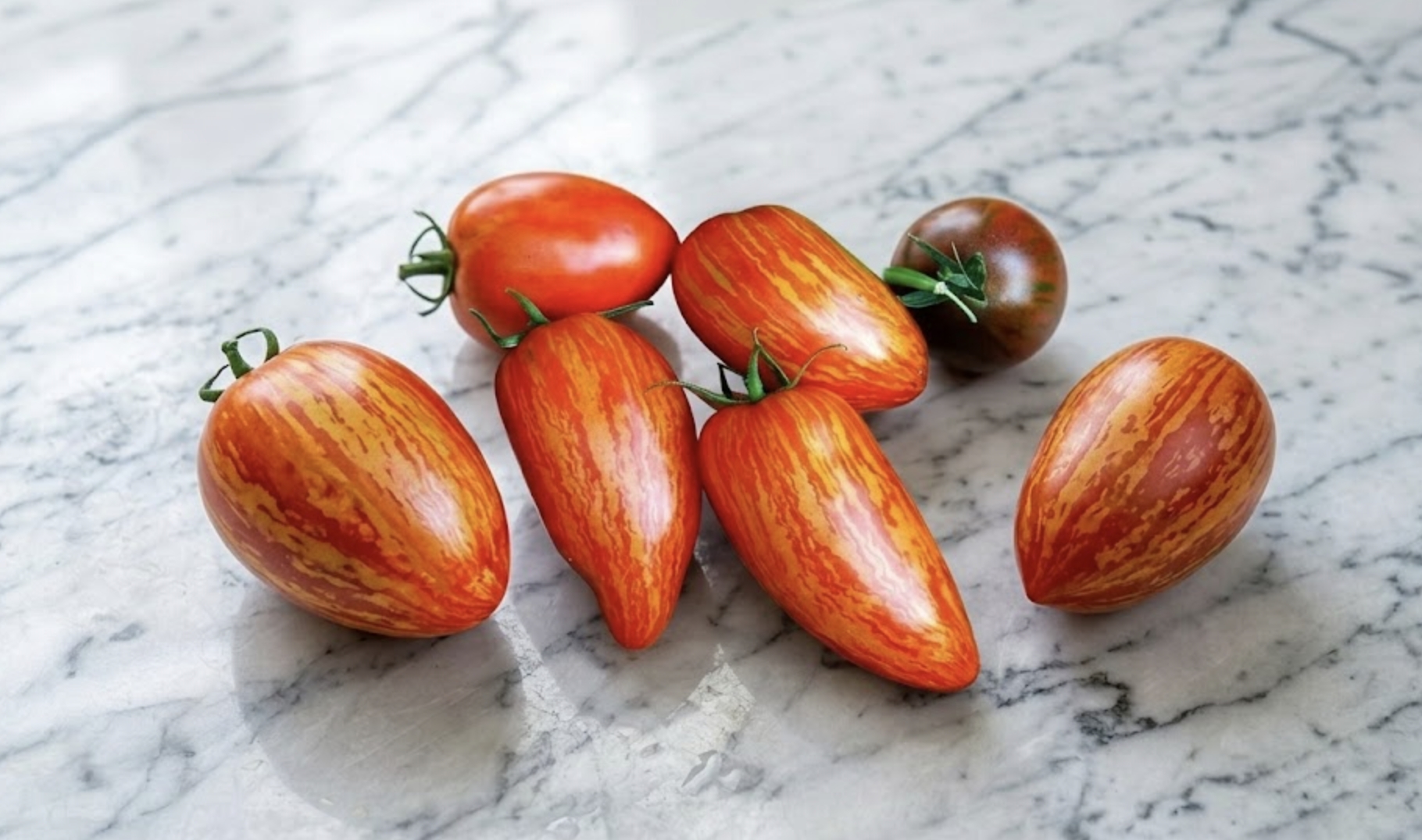 Speckled Roman tomato