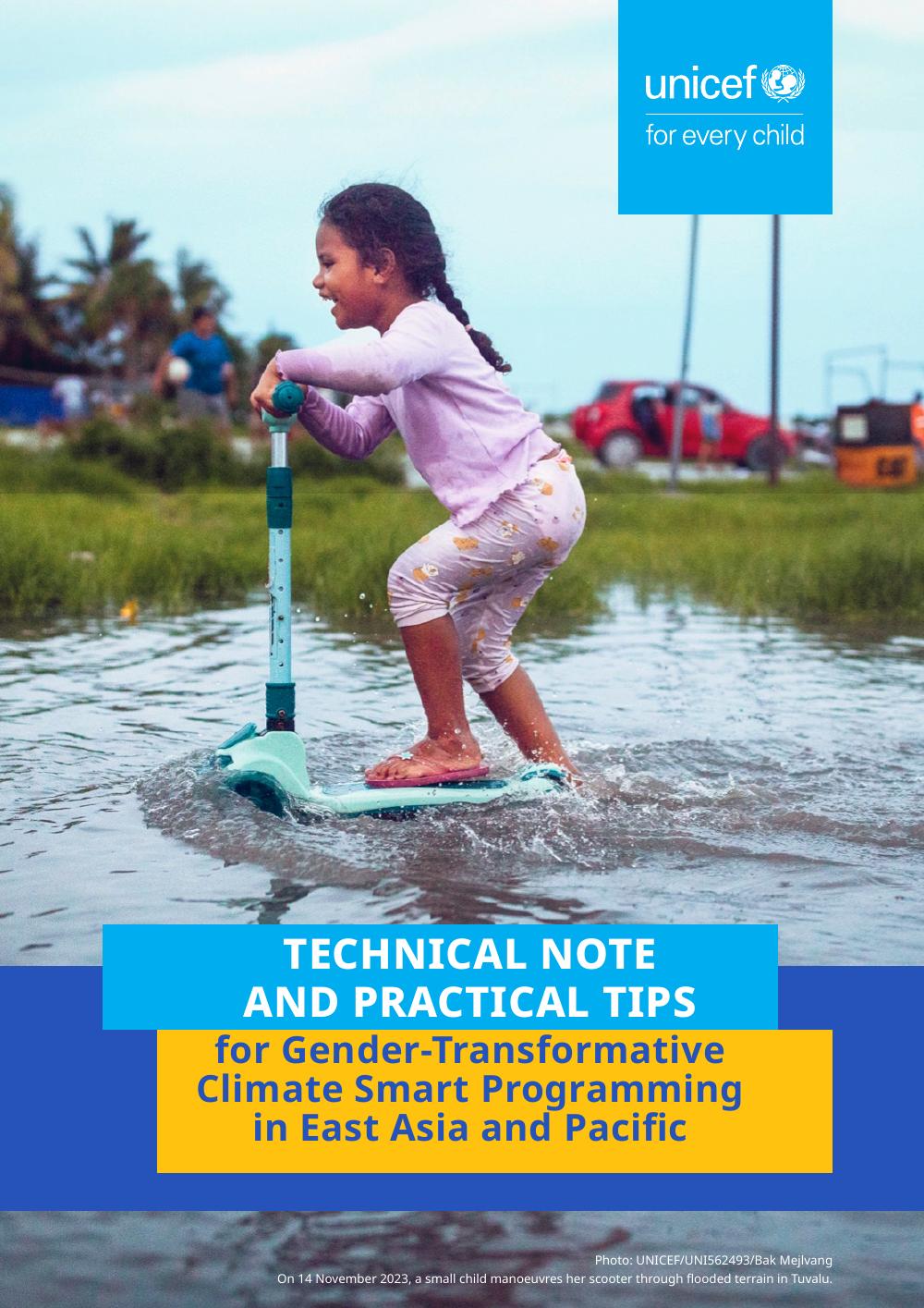 A screenshot of the cover of the document
