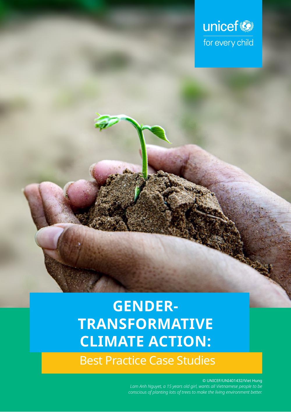 A screenshot of the cover of the document