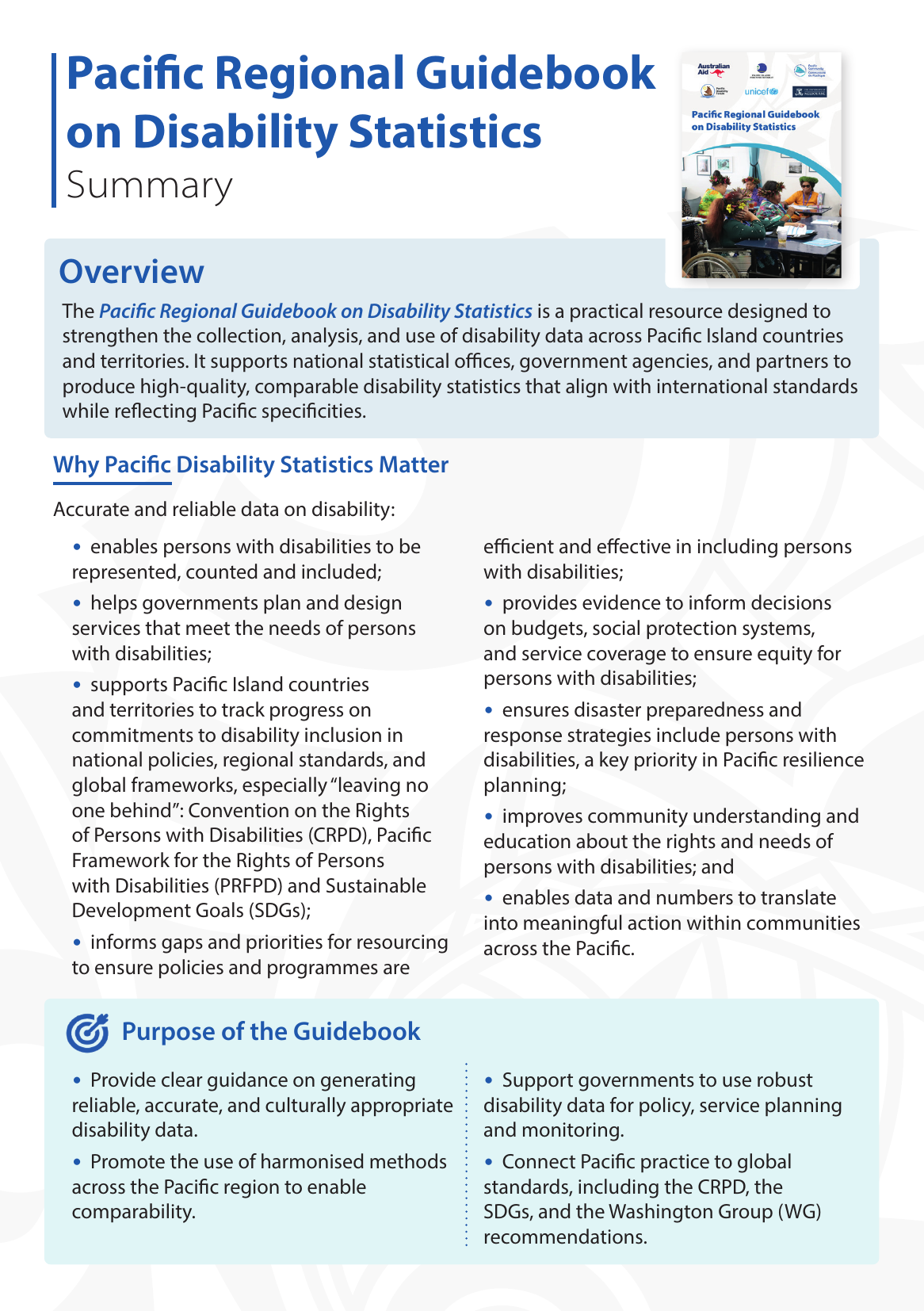 Cover of the summary of the Pacific Regional Guidebook on Disability Statistics.