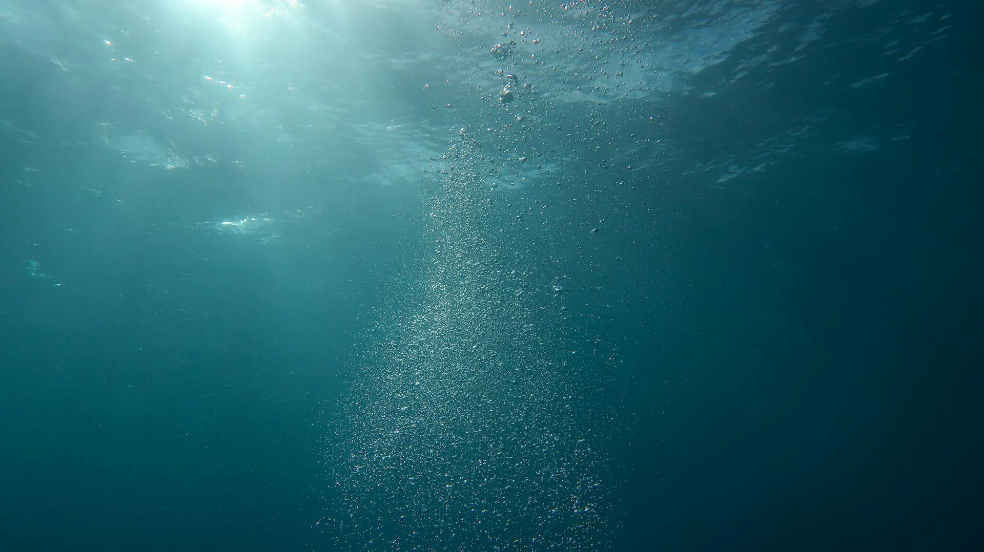 underwater photography