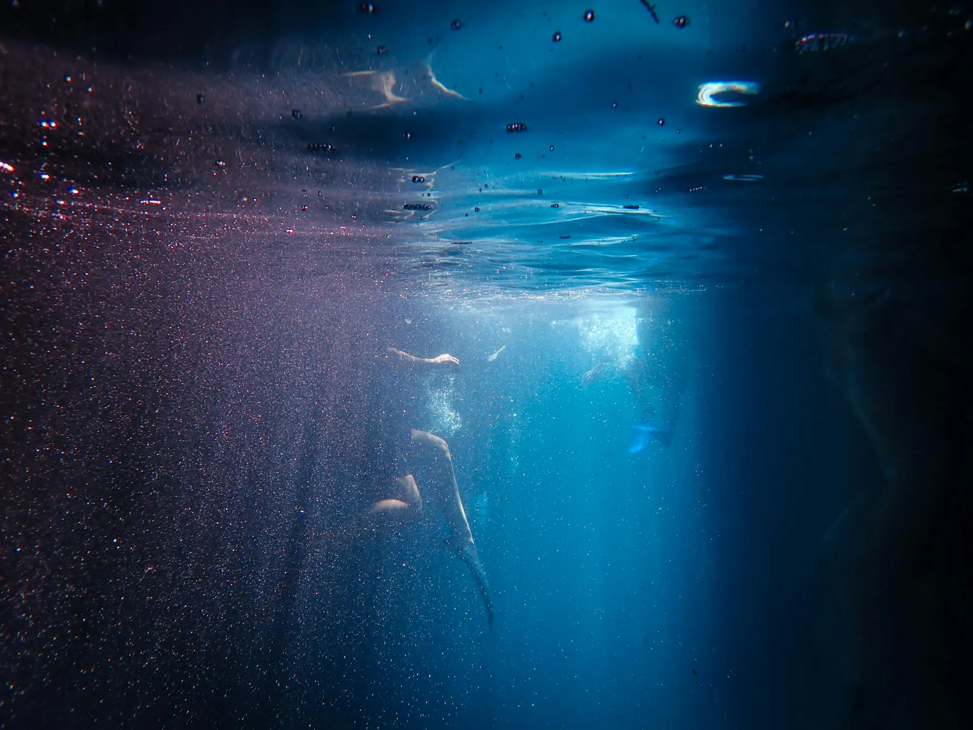 underwater photography