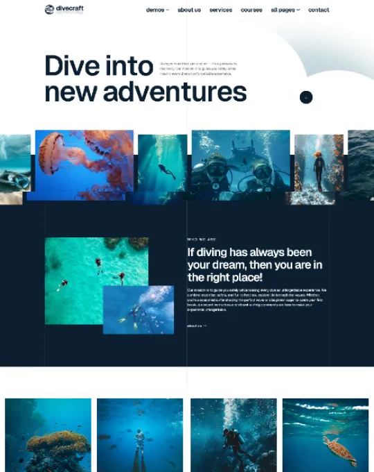 Page Screenshot