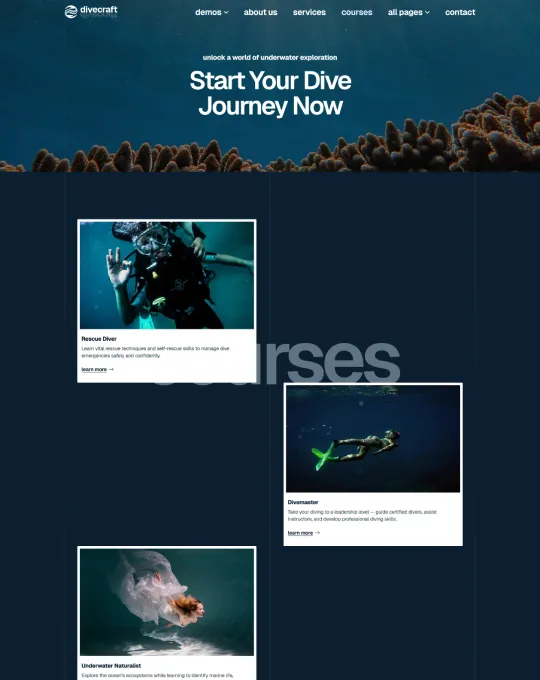 Page Screenshot