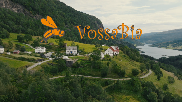 Fjord landscape with green hills, winding road, houses, and VossaBia logo featuring an orange bee.