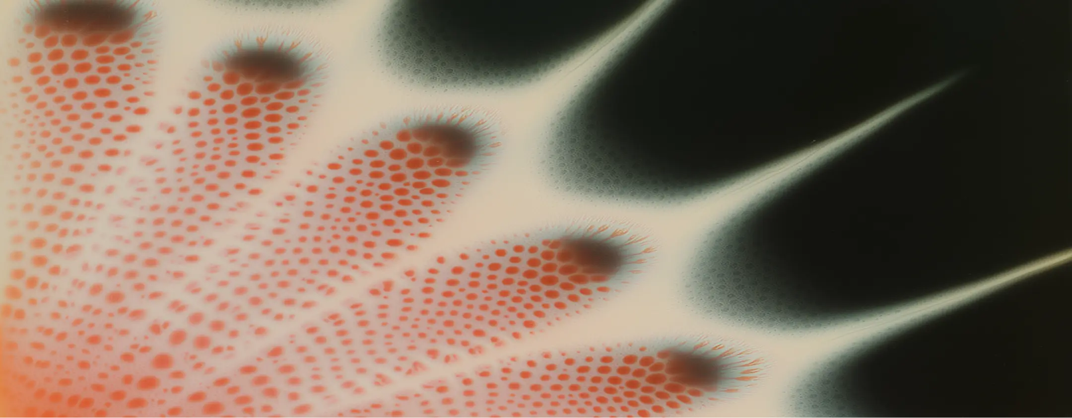 Blog Banner Image