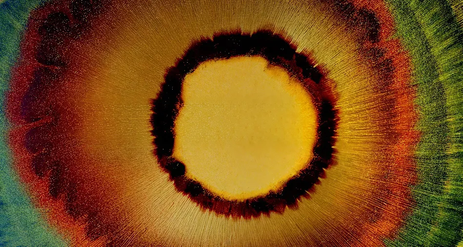 Vue rapprochée d’une coupe transversale colorée d’une géode montrant des couches concentriques de minéraux en jaune, marron, rouge et vert.