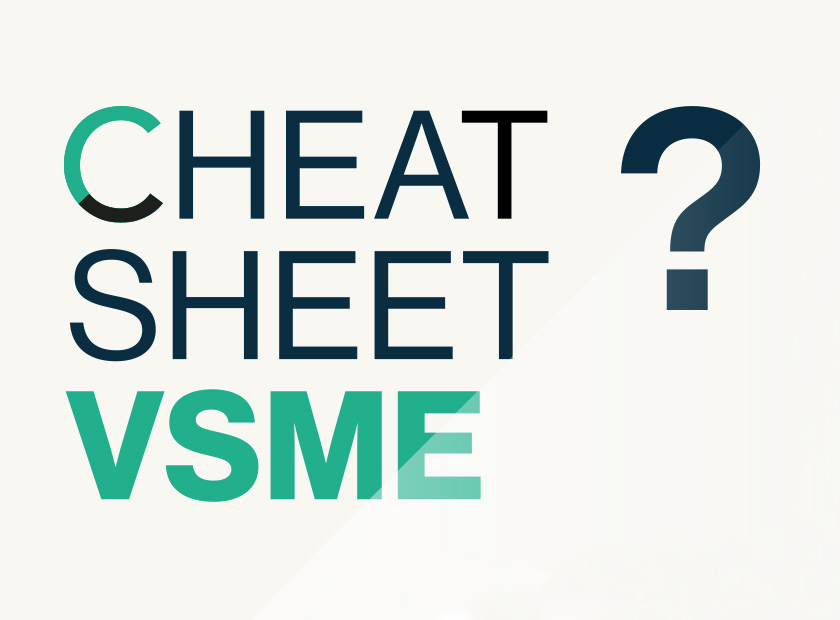 CF Report introduces Cheat Sheet VSME