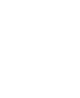 Black and white pixelated triangular pattern with scattered square pixels on a white background.