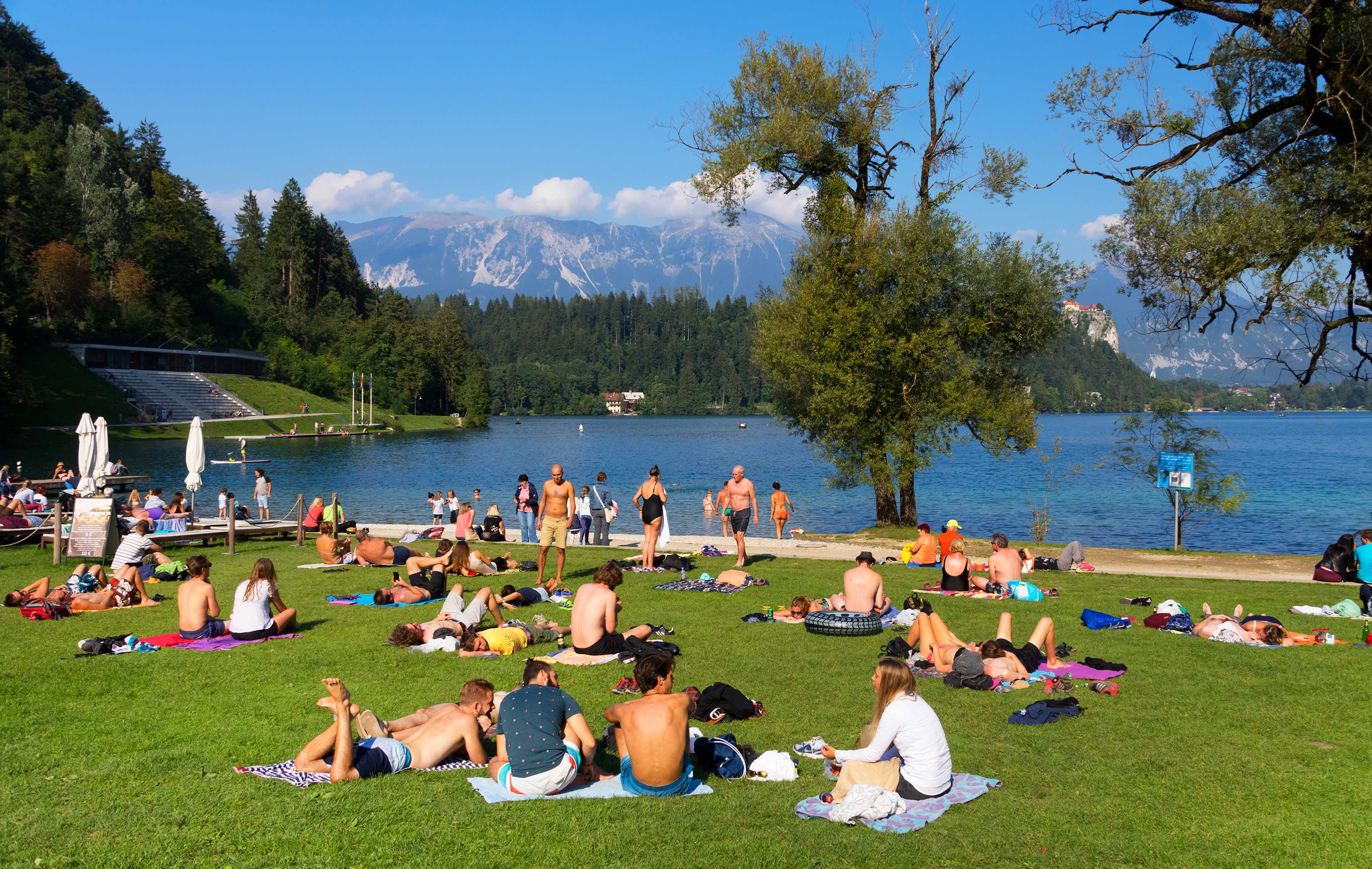 Finding stillness in a world