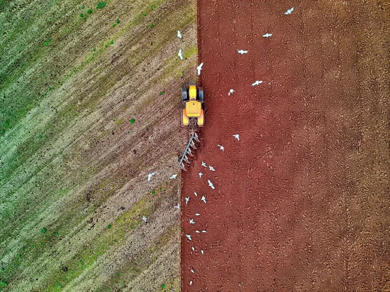 Aerial view of a yellow tractor plowing a field with green grass on one side and freshly tilled red soil on the other, accompanied by white birds flying nearby.